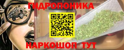 прущие крисы Кинель