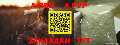 стаф Кимры