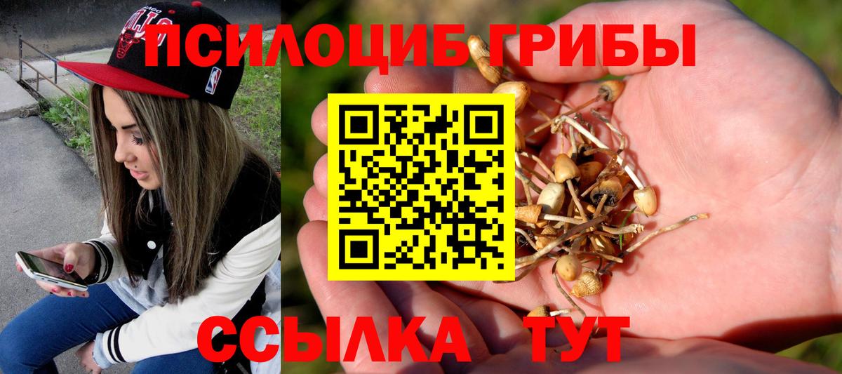 Псилоцибиновые грибы GOLDEN TEACHER  Вход с VPN  Лангепас 