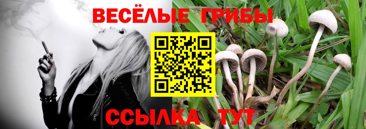 Псилоцибиновые грибы Cubensis Лангепас